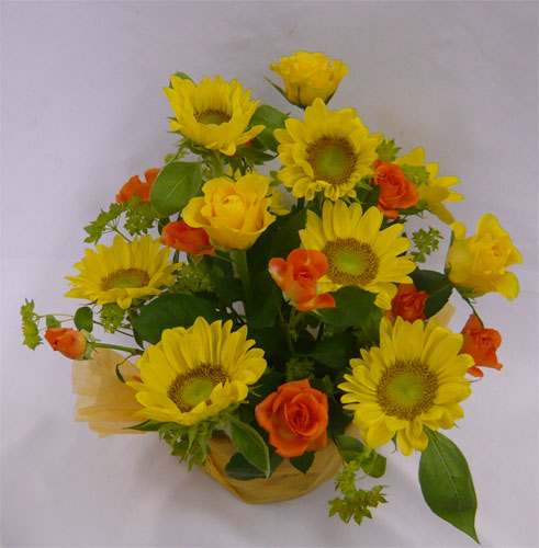 ����ԁ@���ԃA�����W/�Ђ܂��o�X�P�b�g